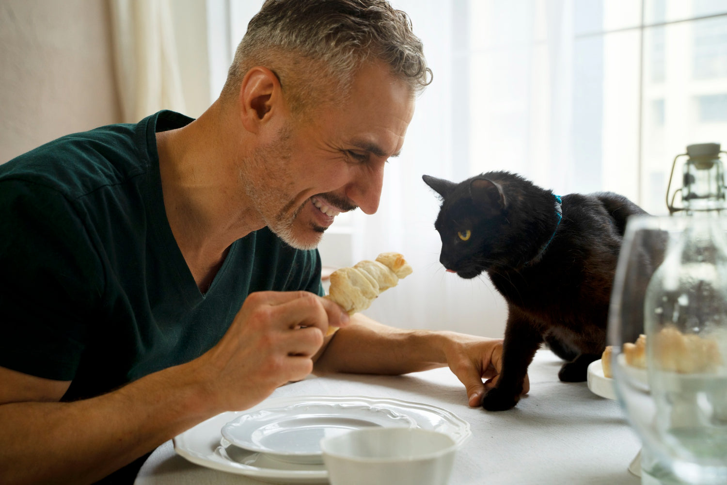 Choosing the Right Supplement for Your Cat: What Every Pet Owner Should Know